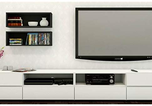 Modern TV Stand in White and Black Review